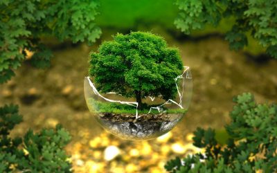Développement durable, quels placements pour notre planète ?